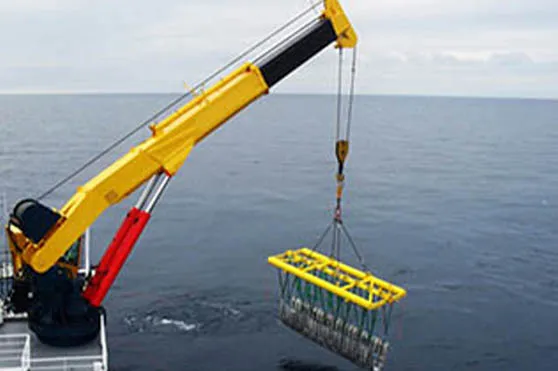 Telescopic Boom Crane